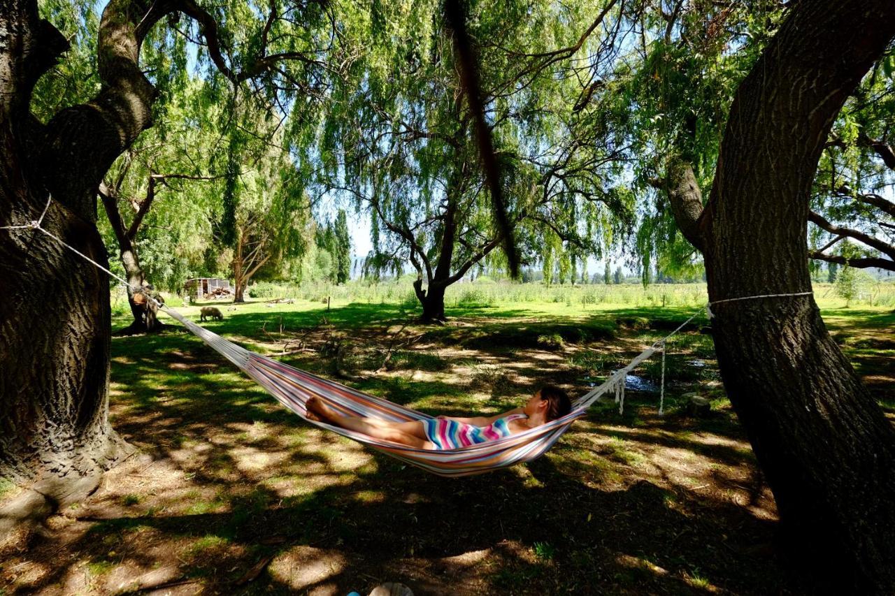 Hoyo de Epuyén Hostel Lc מראה חיצוני תמונה
